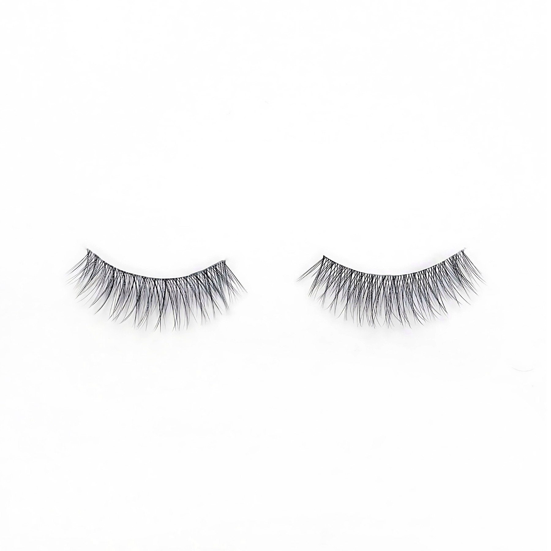 Sheer Luxe #3  Kasha Lashes