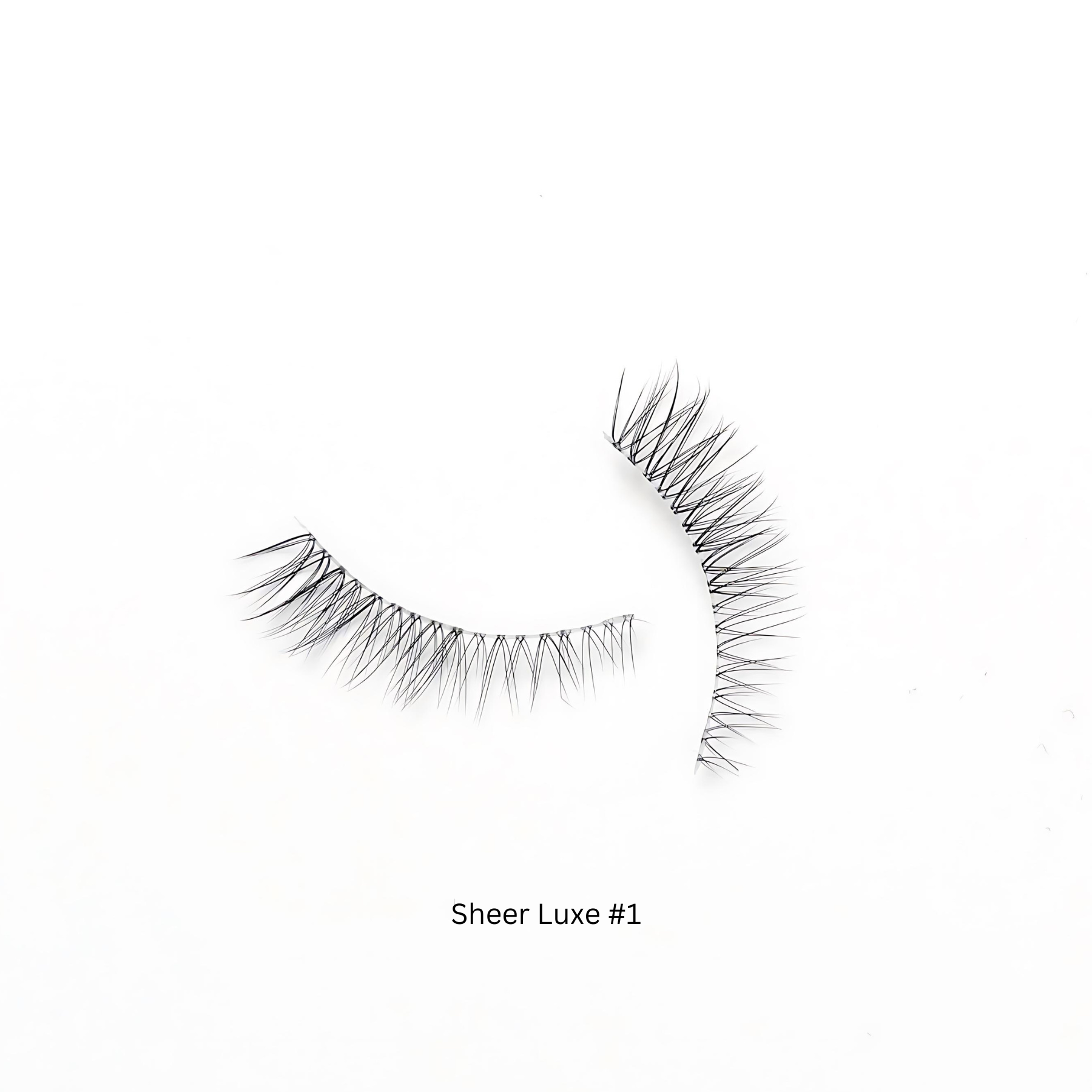 SHEER LUXE SET  Kasha Lashes   