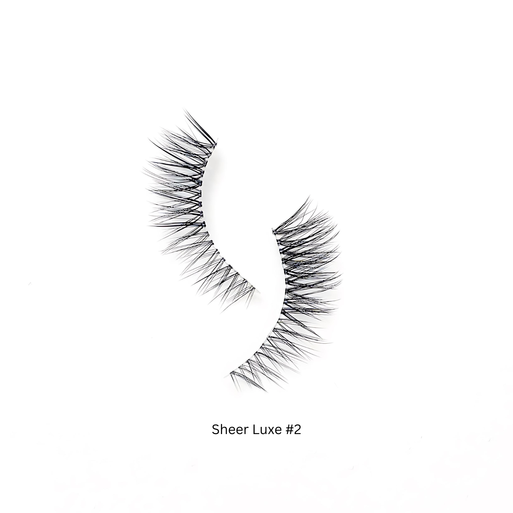 SHEER LUXE SET  Kasha Lashes   