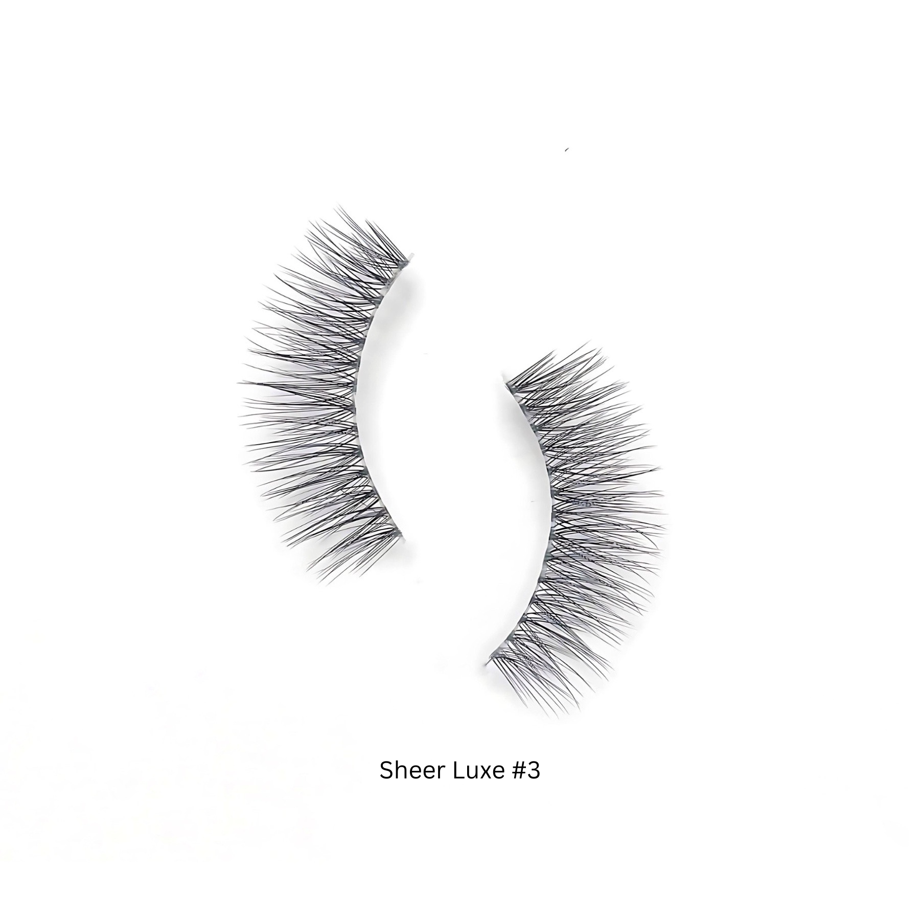 SHEER LUXE SET  Kasha Lashes   