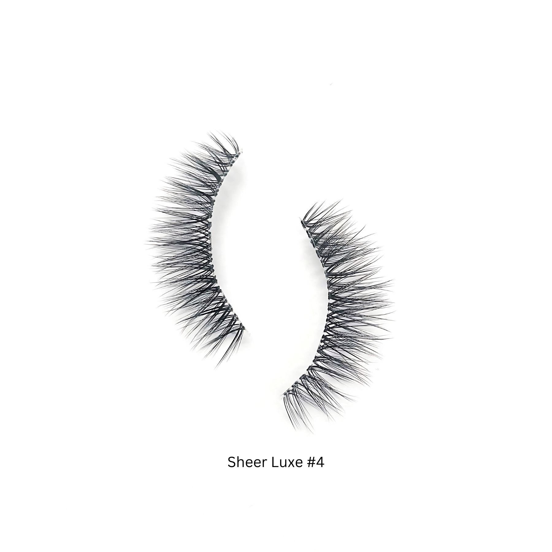 SHEER LUXE SET  Kasha Lashes   