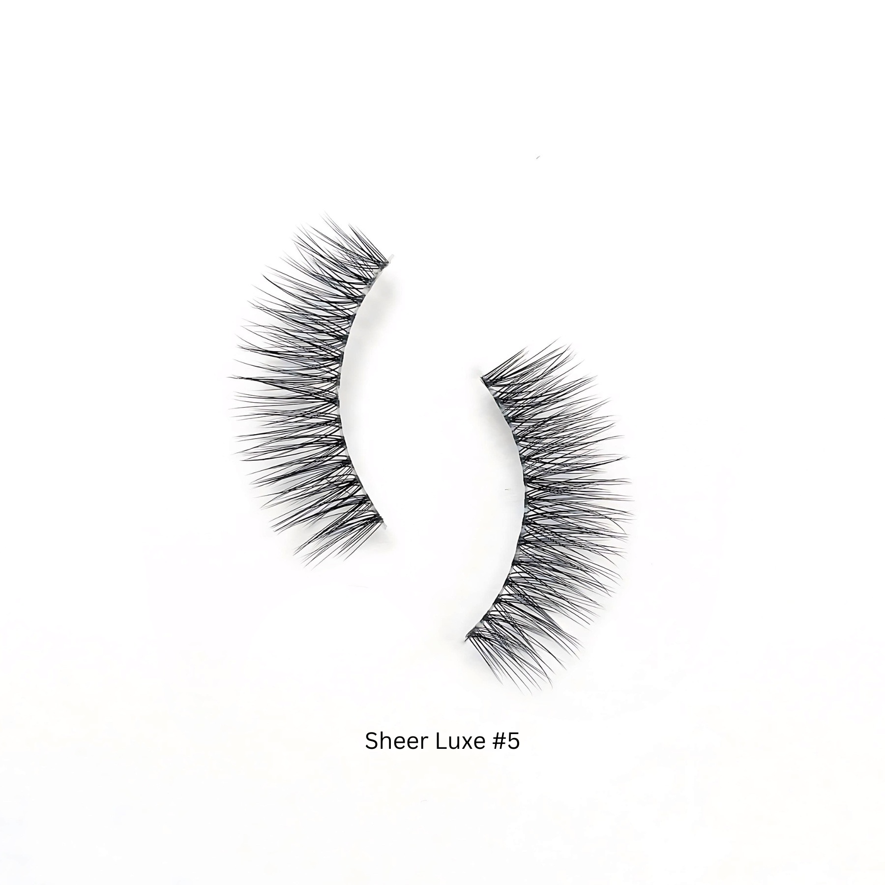 SHEER LUXE SET  Kasha Lashes   