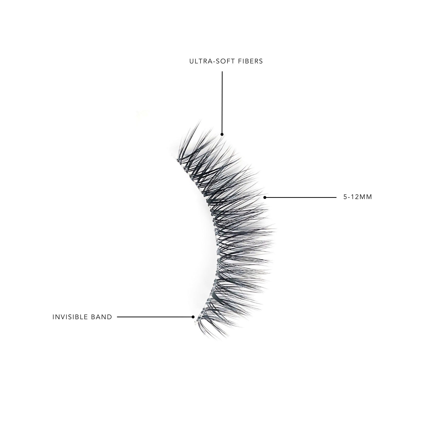 Sheer Luxe #4  Kasha Lashes   