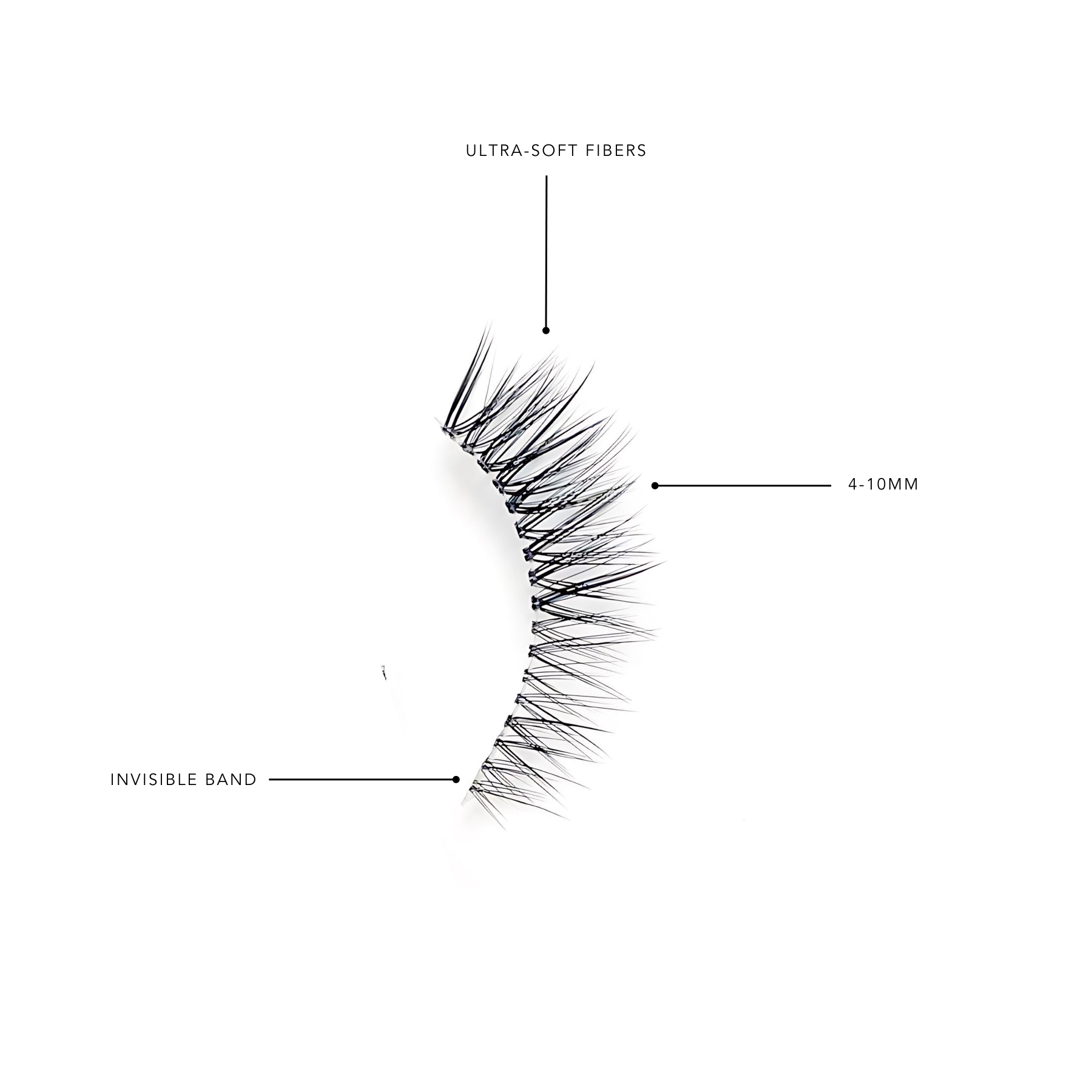 Sheer Luxe #2  Kasha Lashes   
