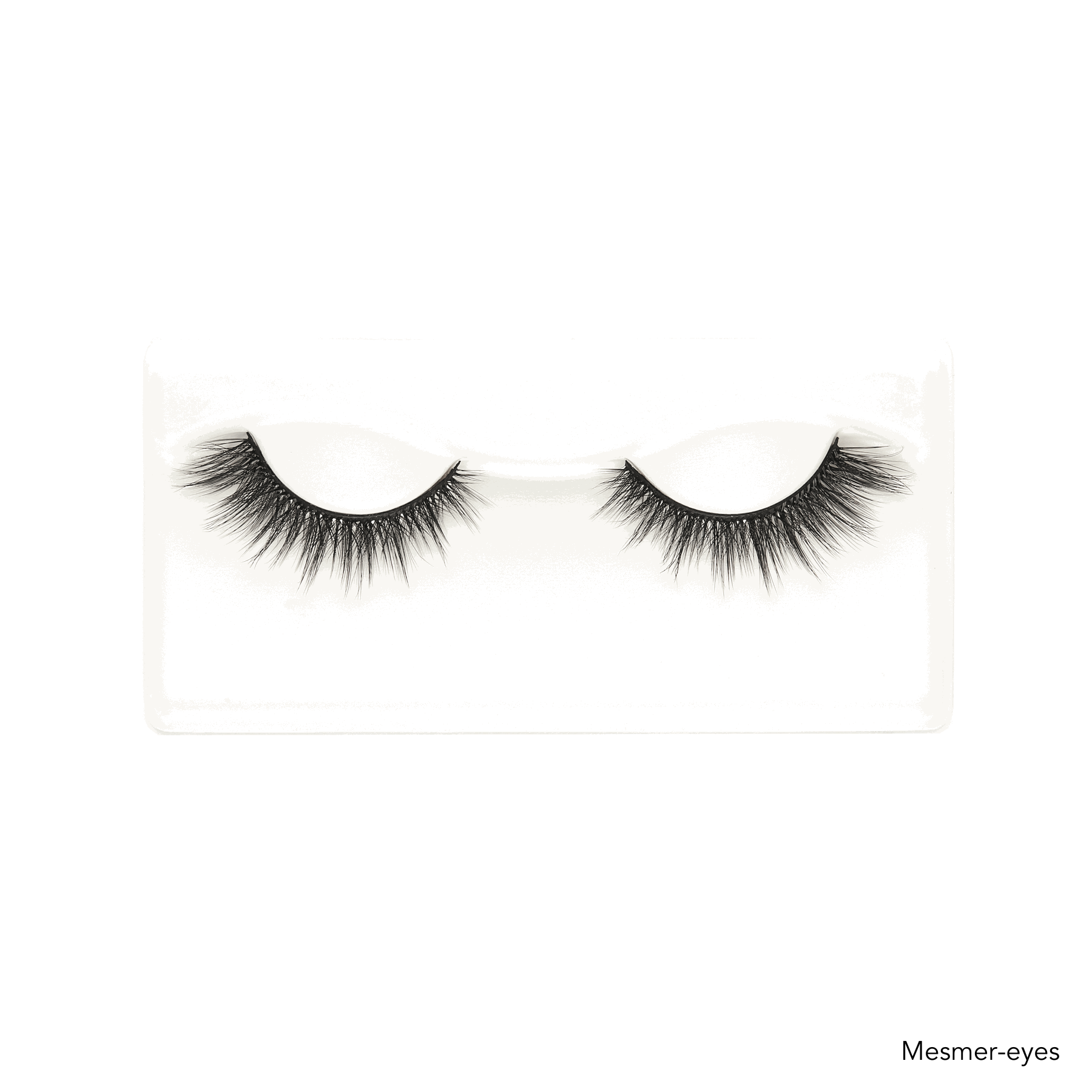 STARTER EYELASH SET  Kasha Lashes   
