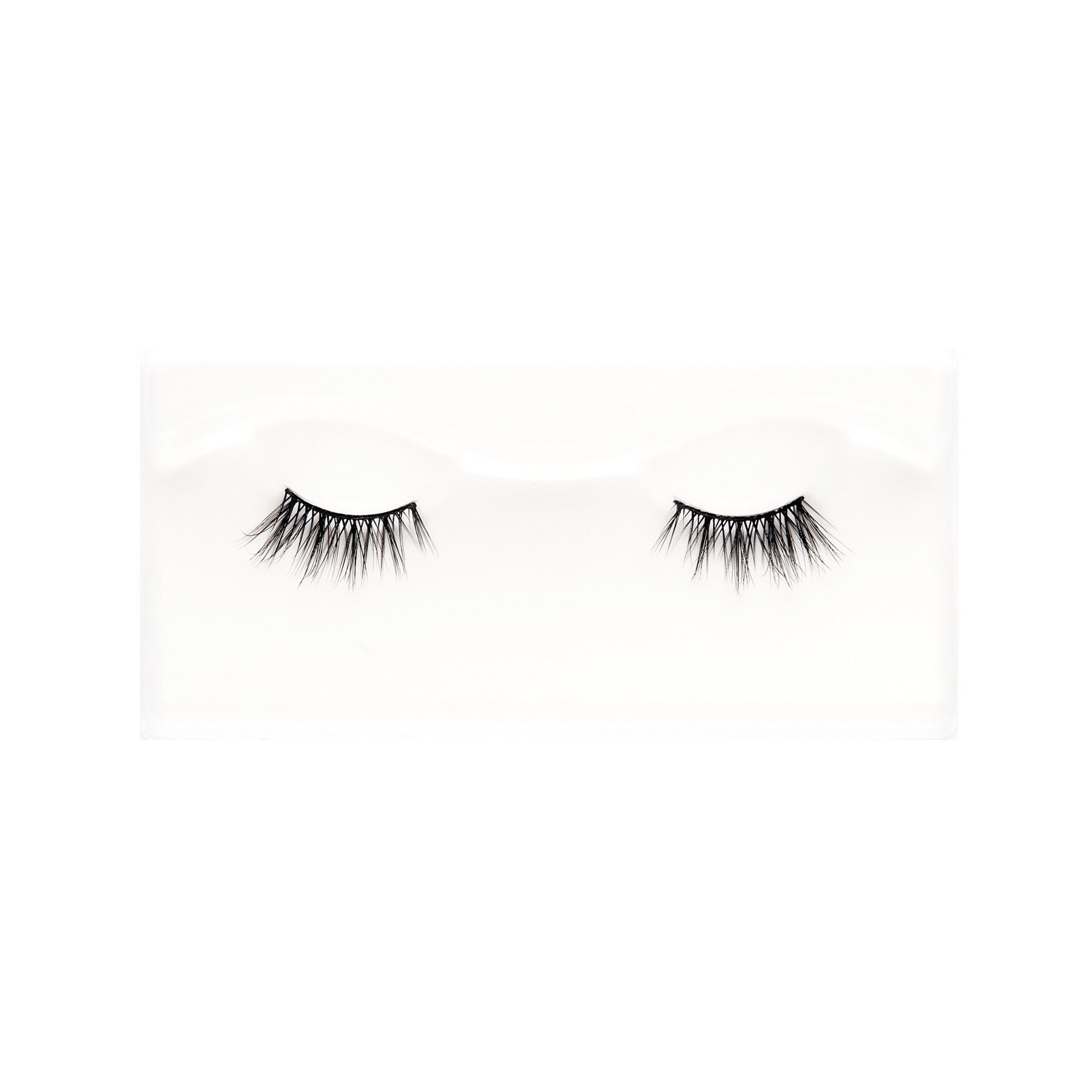 LASH IT UP  Kasha Lashes   