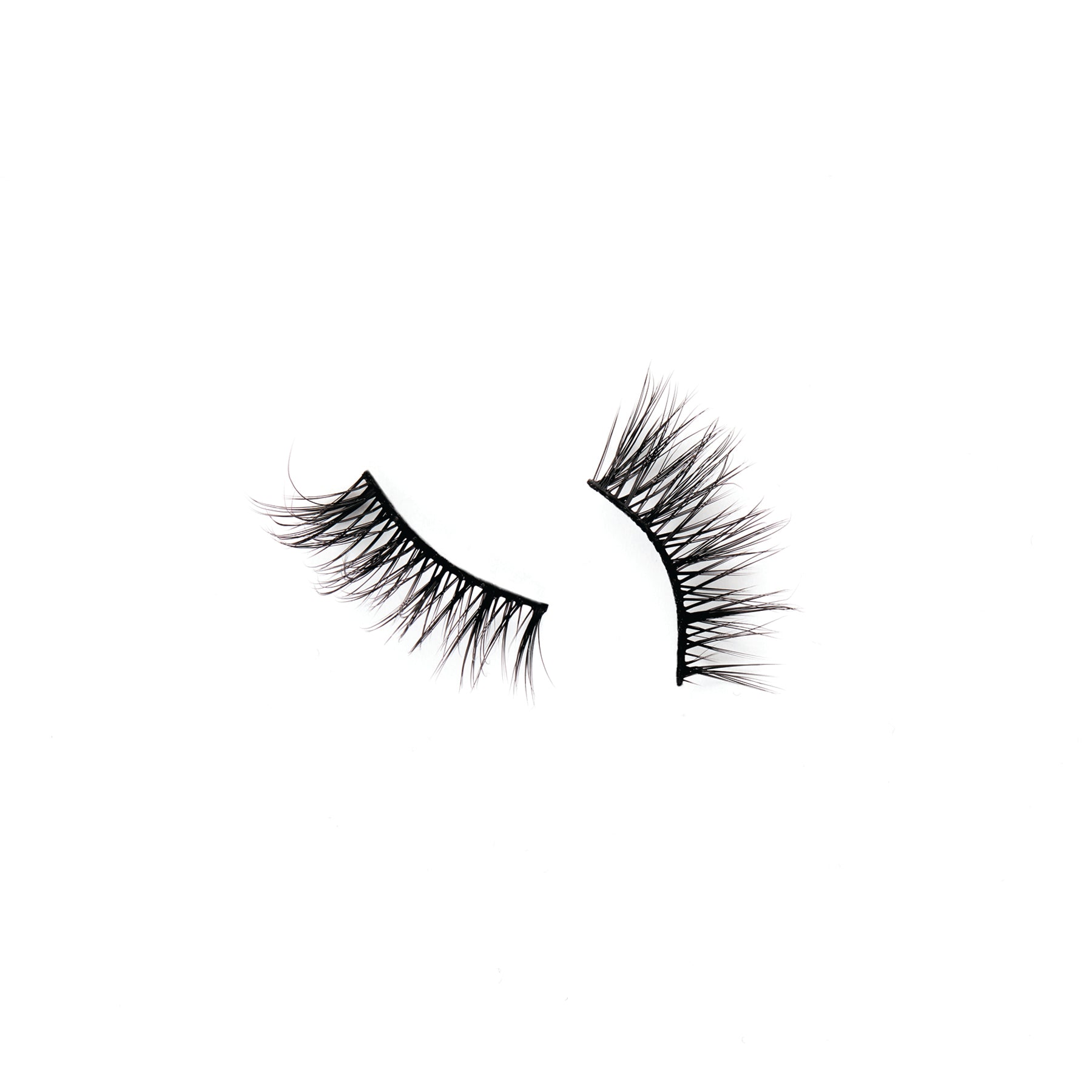 LASH IT UP  Kasha Lashes   
